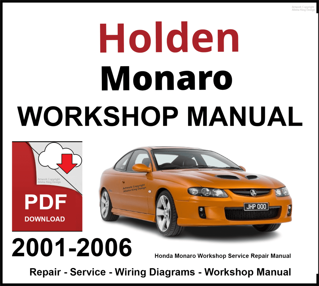 Holden visual data 8