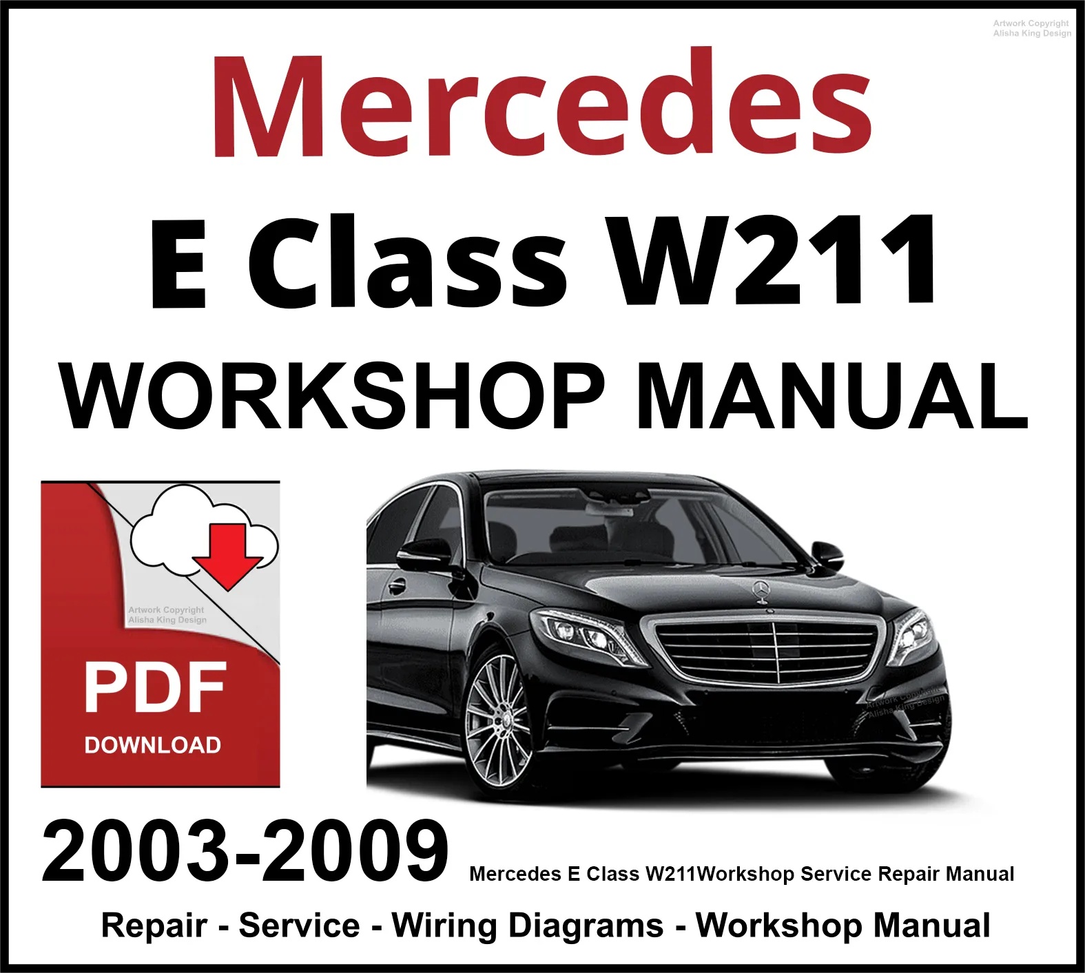 Mercedes-Benz E-Class (W211) visual data 6